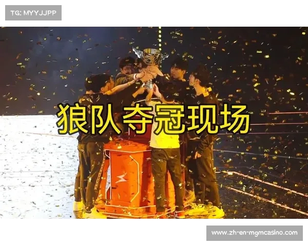 老鹰队2023赛季球员名单及薪资分析带你深入了解狼队球员年薪情况